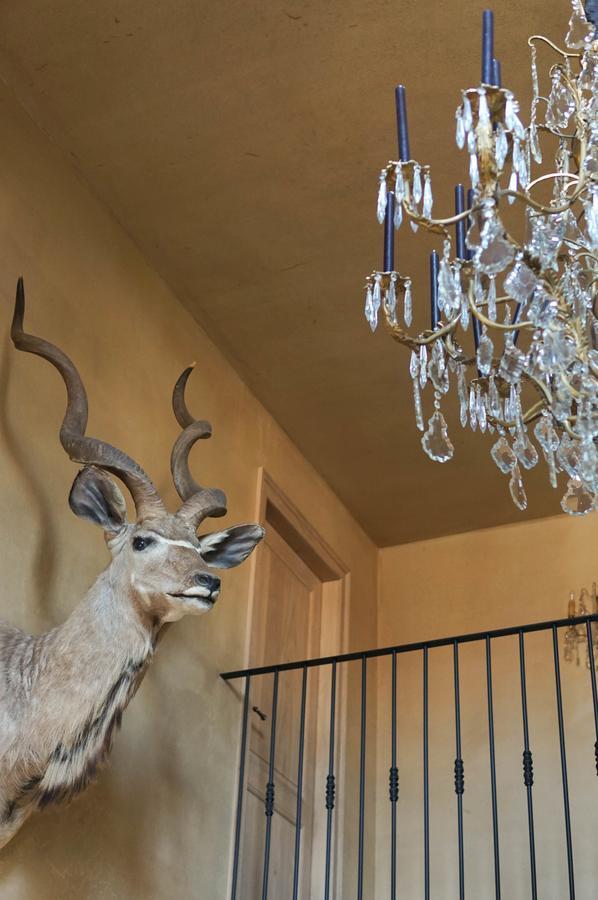 Boutique Hotel De Brakelhoen מראה חיצוני תמונה